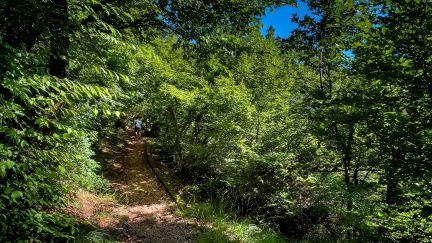 Kuća za odmor Gentle Breeze